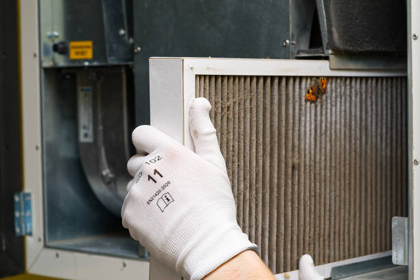 Best Air Quality Test  in Duluth, WA