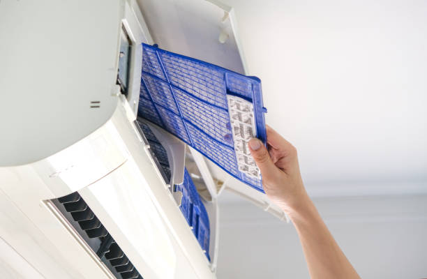 Best Affordable Air Duct Cleaning  in Duluth, WA