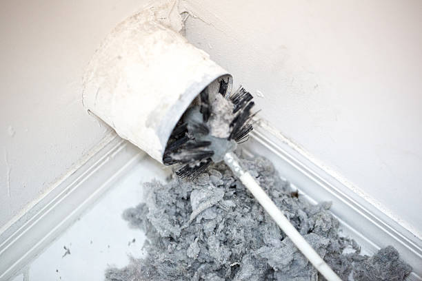 Best Professional Duct Cleaning Services  in Duluth, WA